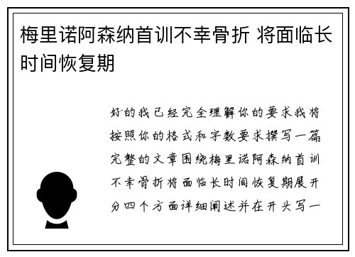 梅里诺阿森纳首训不幸骨折 将面临长时间恢复期 梅里诺阿森纳首训不幸骨折 将面临长时间恢复期