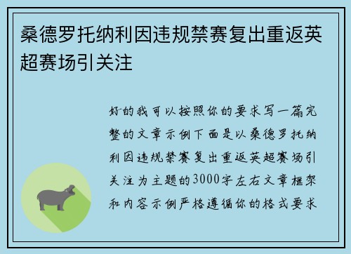 桑德罗托纳利因违规禁赛复出重返英超赛场引关注